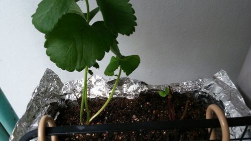 2010828_3.jpg