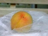 20120624_2.JPG