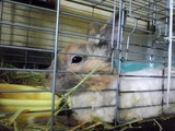 20120715_3.JPG