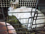 20120715_4.JPG