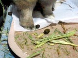 20120812_2.JPG