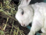 20120812_4.JPG
