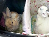 20120902_1.JPG