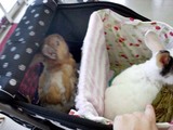 20120902_2.JPG