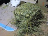 20121216_3.JPG
