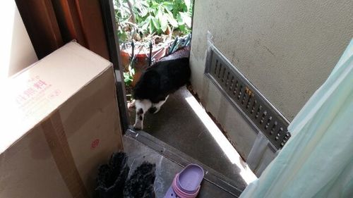 20150531_3.jpg