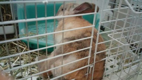 20150830_3.jpg
