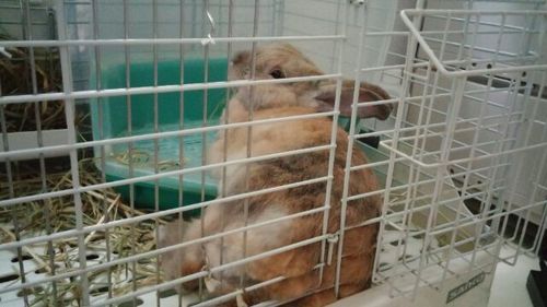 20150830_4.jpg