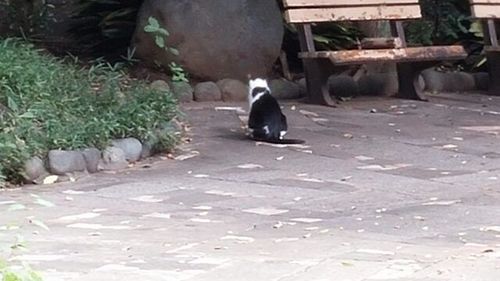 20150906_1.jpg