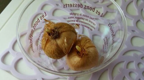 20150922_5.jpg