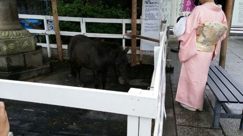 20151018_6.jpg