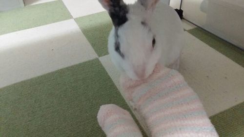20160117_3.jpg