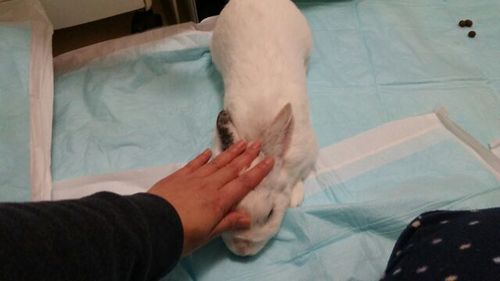 20160214_3.jpg