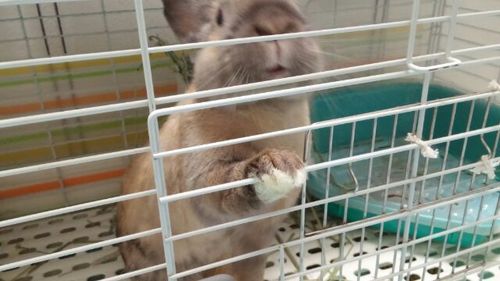 20160327_3.jpg