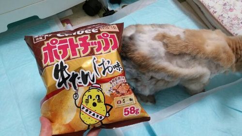 20160730_1.jpg