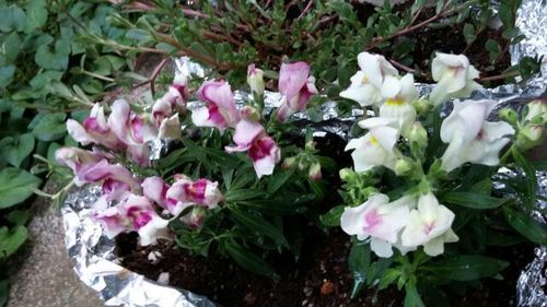 20160924_1.jpg