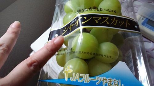 20160924_3.jpg