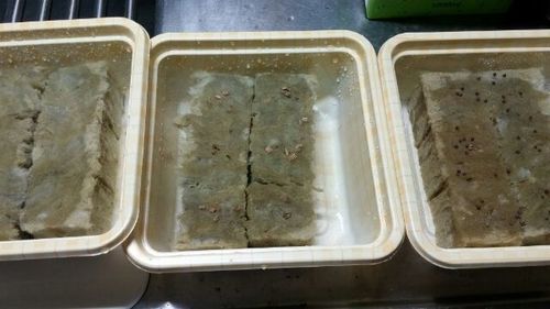 20161028_2_4.jpg