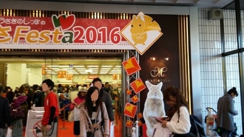 20161126_1.jpg