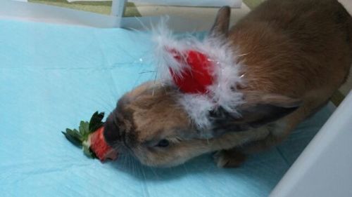 20161225_8.jpg