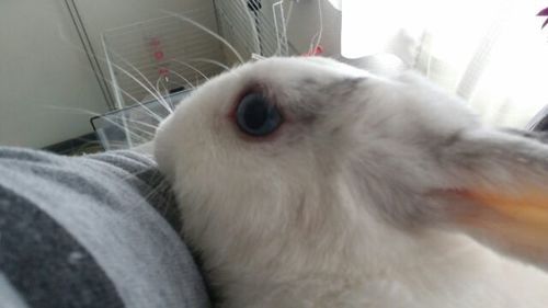 20170225_2.jpg