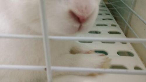 20170528_5.jpg