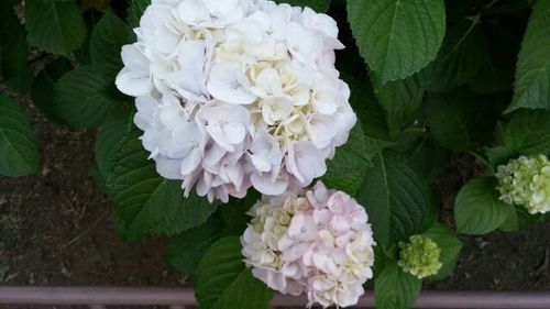 20170609_1.jpg