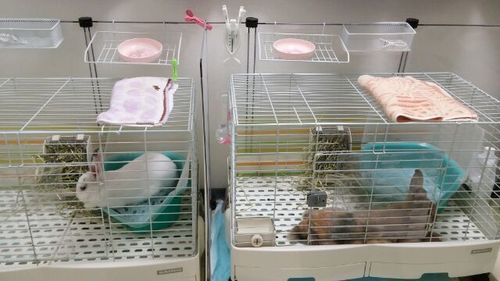 20170730_5.jpg