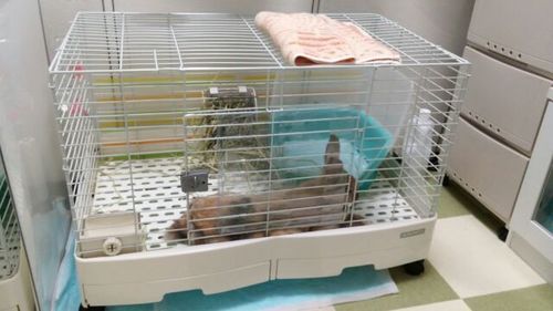 20170730_6.jpg