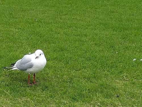 20171118_2_9.jpg