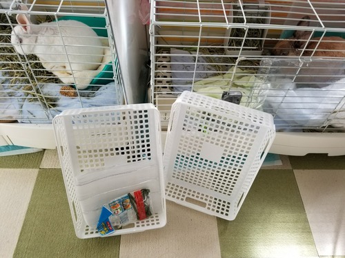 20180225_21.jpg