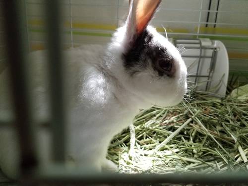 20180428_112742.jpg