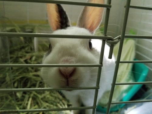 20180430_100305.jpg