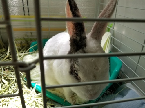 20180430_104650.jpg