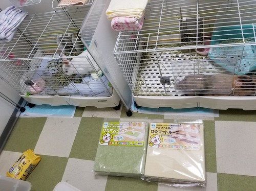 20180616_113623.jpg
