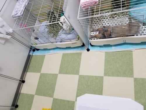 20180616_170121.jpg