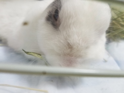 20180619_232437.jpg