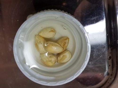 20180623_151510.jpg