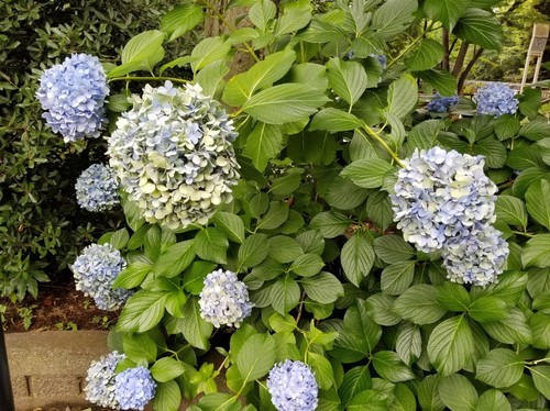 20180707_135546.jpg