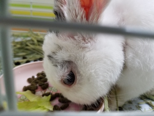 20180721_195812.jpg