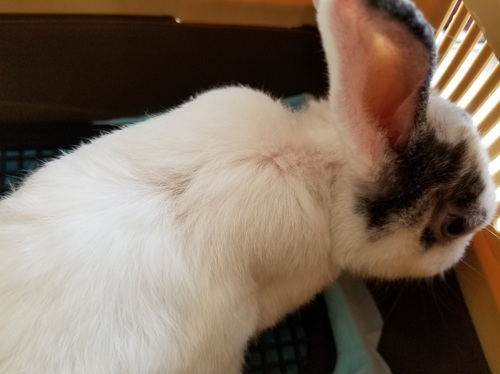 20180804_101430.jpg