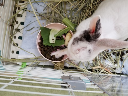 20180805_085302.jpg