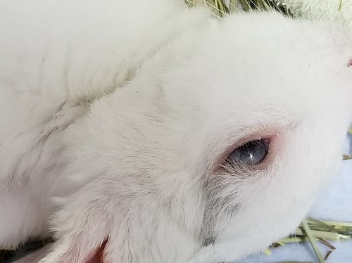 20180901_173037.jpg