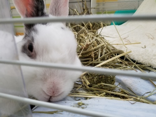 20180916_132003.jpg