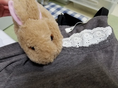 20181117_171745.jpg