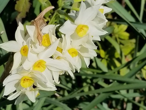20190223_123931.jpg