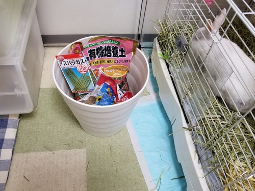 20190427_143717.jpg