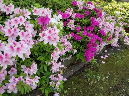 20190503_110552.jpg