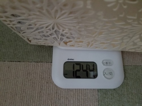 20190728_111958.jpg