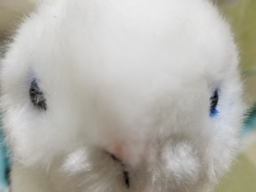 20190820_204325.jpg